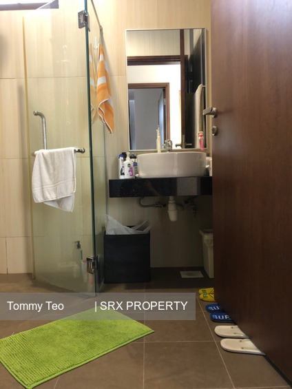 Dunearn Suites (D11), Apartment #250642611